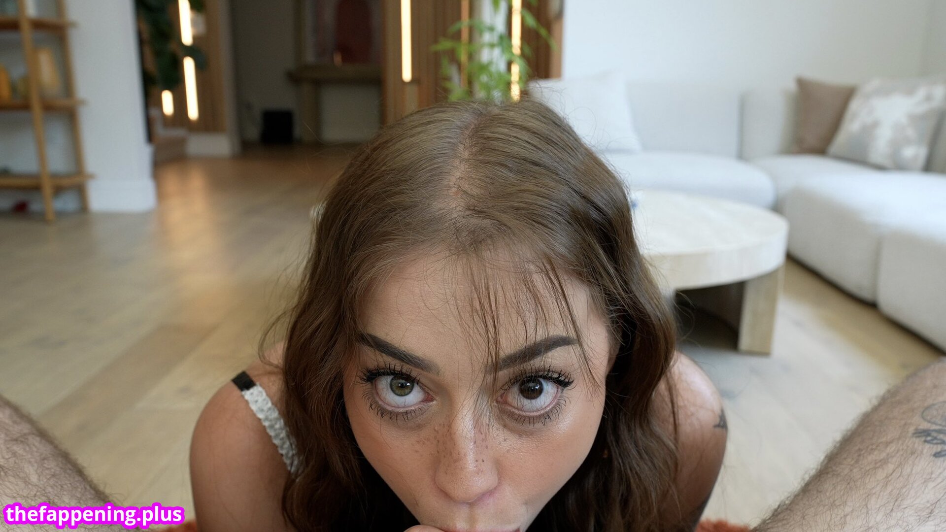 bruhrelia