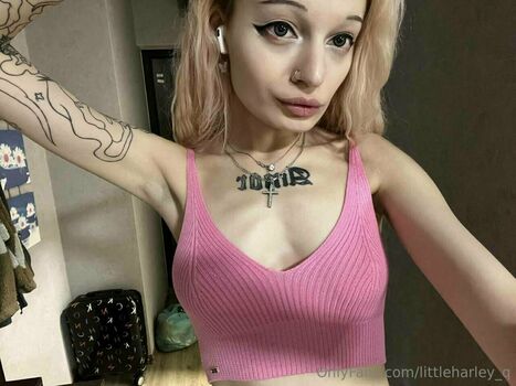 littleharley_q