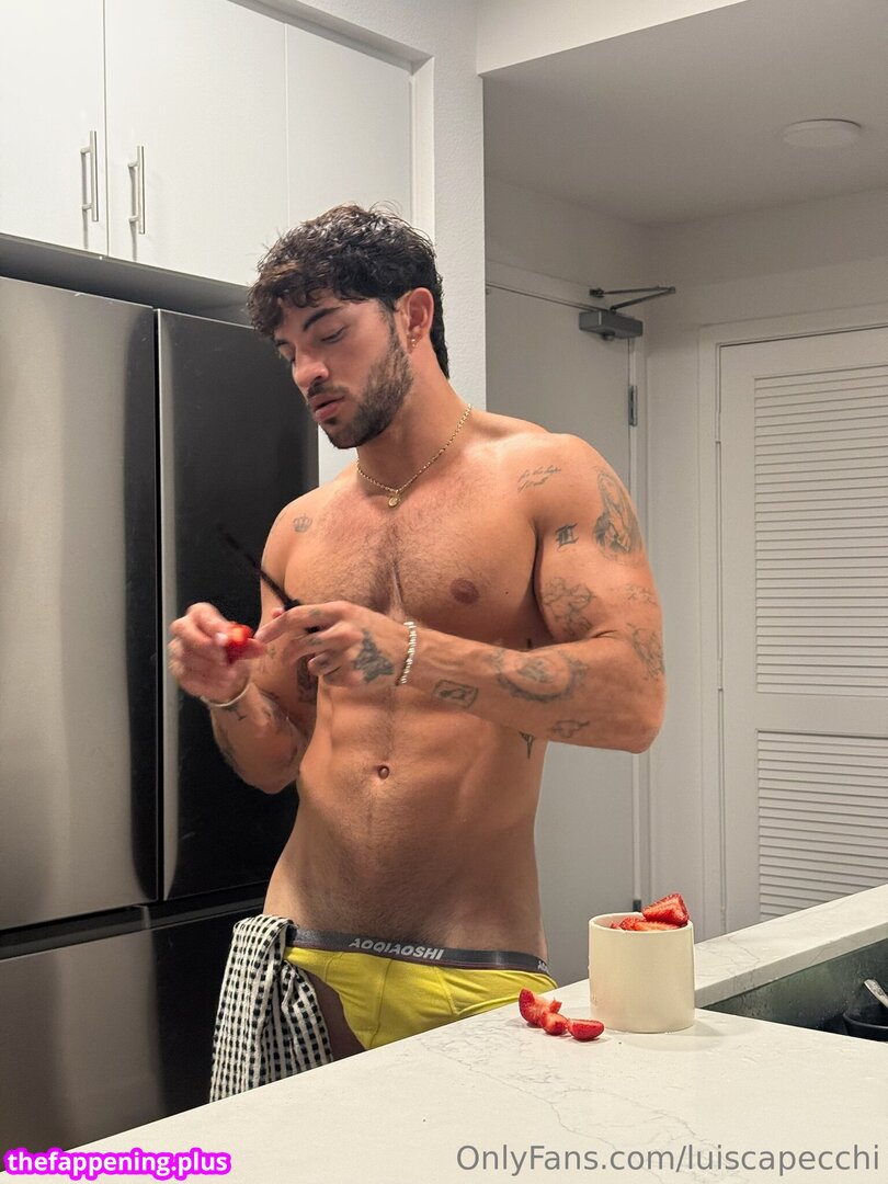 luiscapecchi