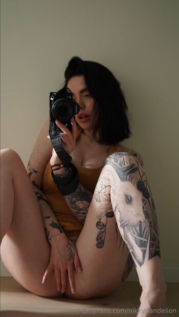 NikkyDandelion